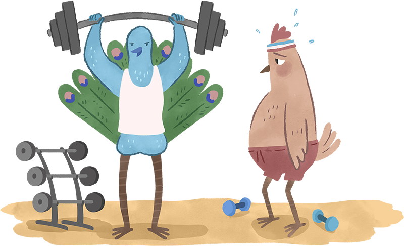 exercising animals comparing