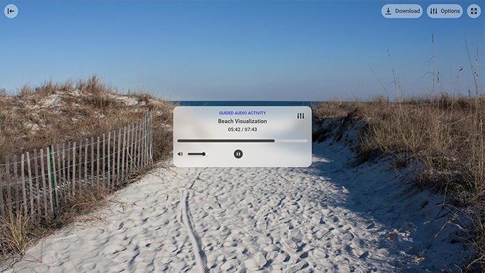 Beach Visualization Tool Preview 2