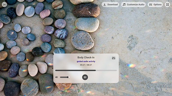 Body Check-In Tool Preview 1