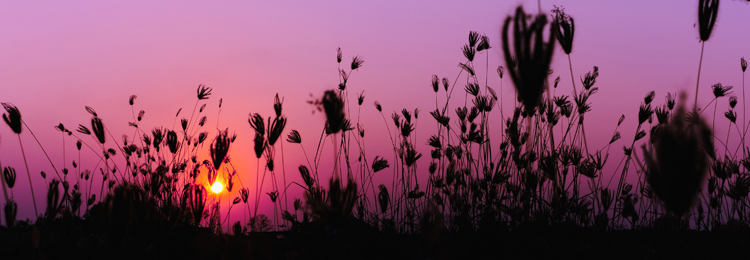Loving-Kindness Meditation