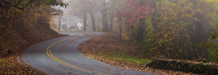 Mindfulness Walk