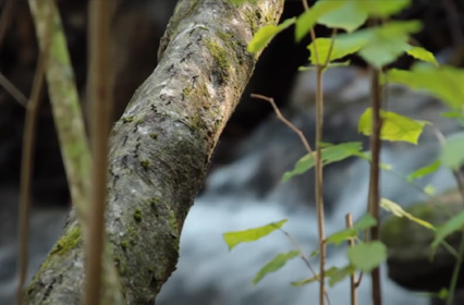 Progressive Muscle Relaxation Exercise