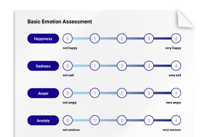 Basic Emotion Assessment